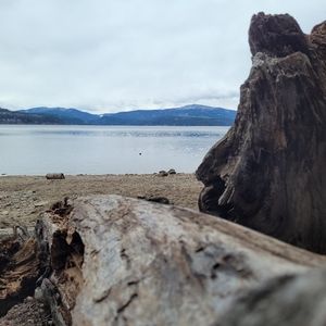 Meet your Posher, Chrystall